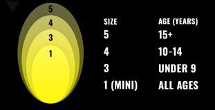 rugby ball size chart